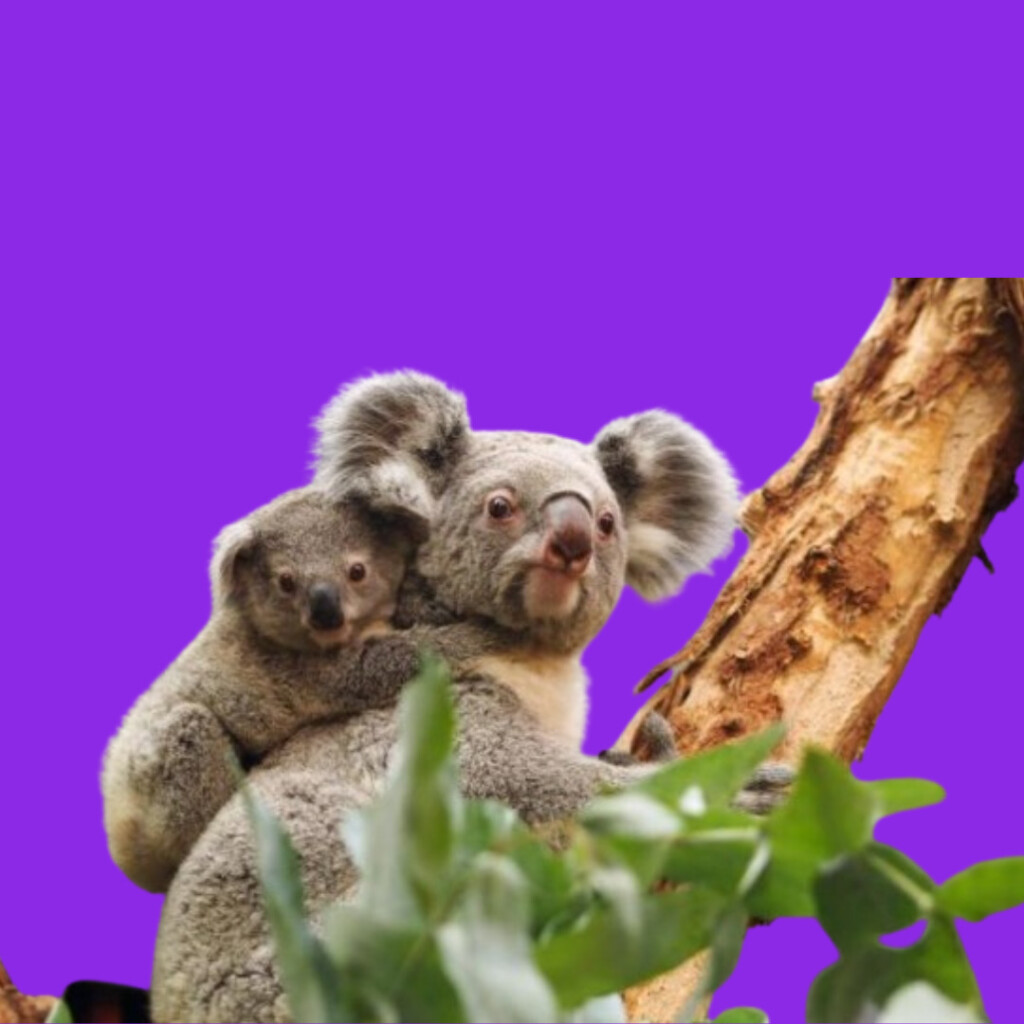 Zoo Leipzig