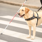 Bild von Marcel😎 🎧