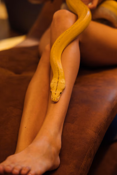 Frauenbeine mit einer Schlange drauf